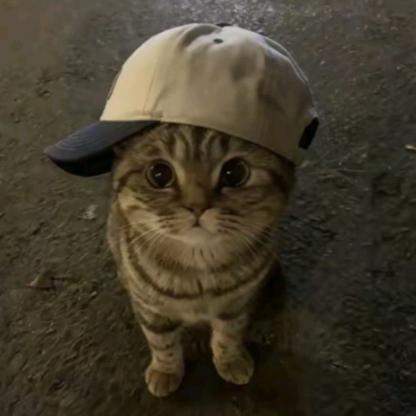 我不是胆小鬼！