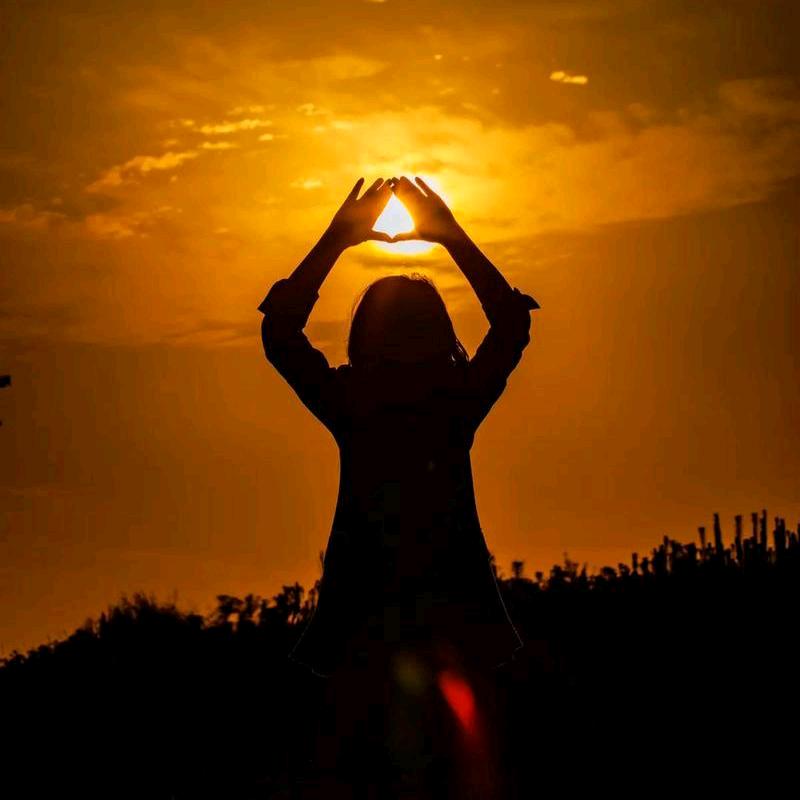 （待莹归）夜莺¹⁸