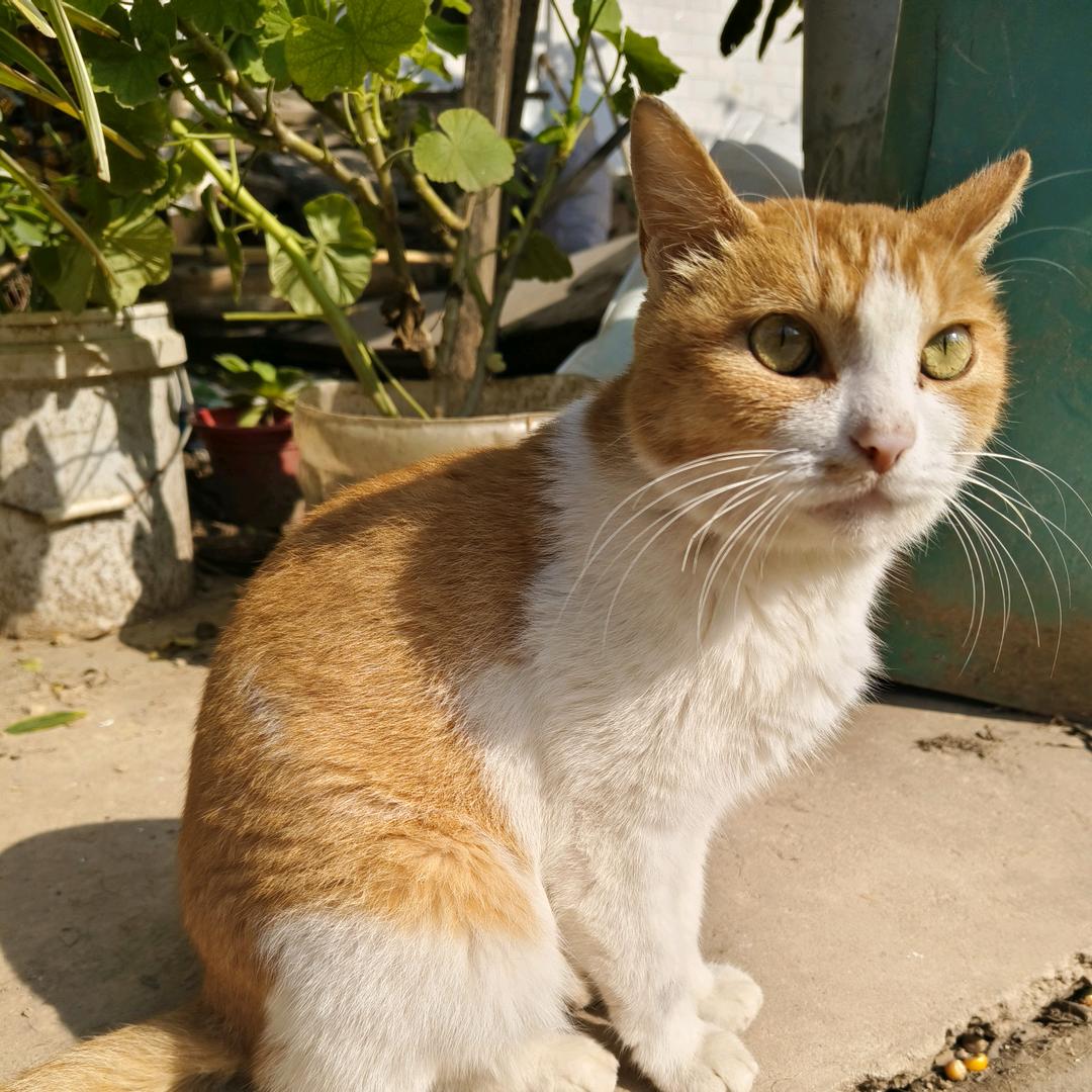 ♥贺         先      森♥