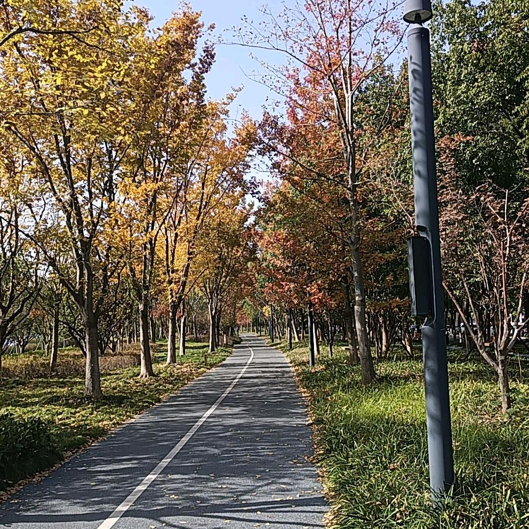 认真是一种态度