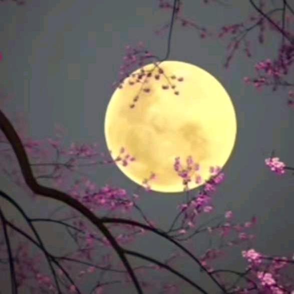 情缘财运