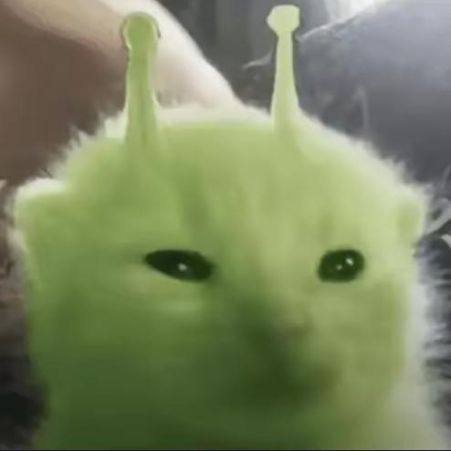 zzzzzzzzzzzzzzzzzzzz