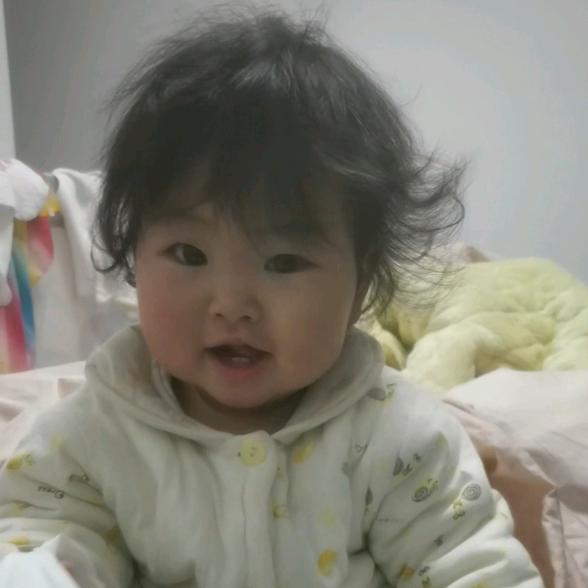小张的小武