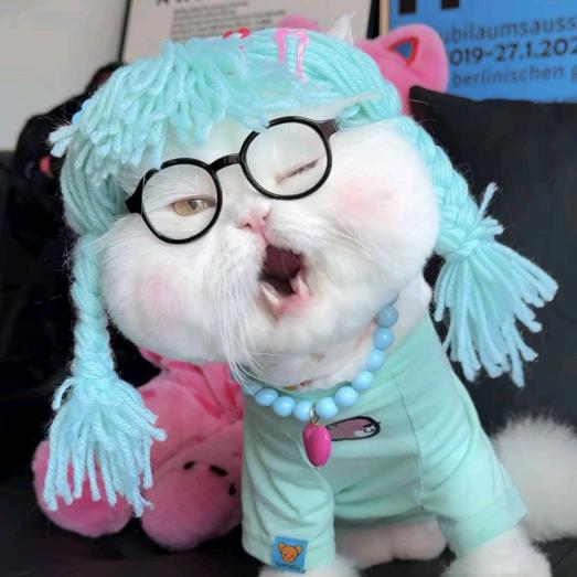 亲一口白菜