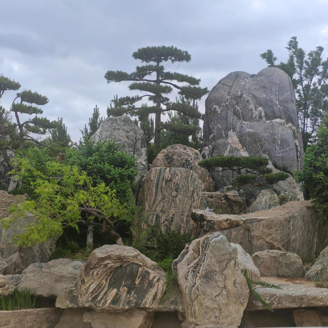 水太深 风太大 没有实力少说话