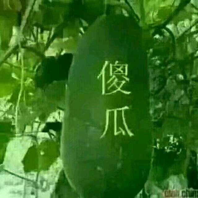 开枪为我送行