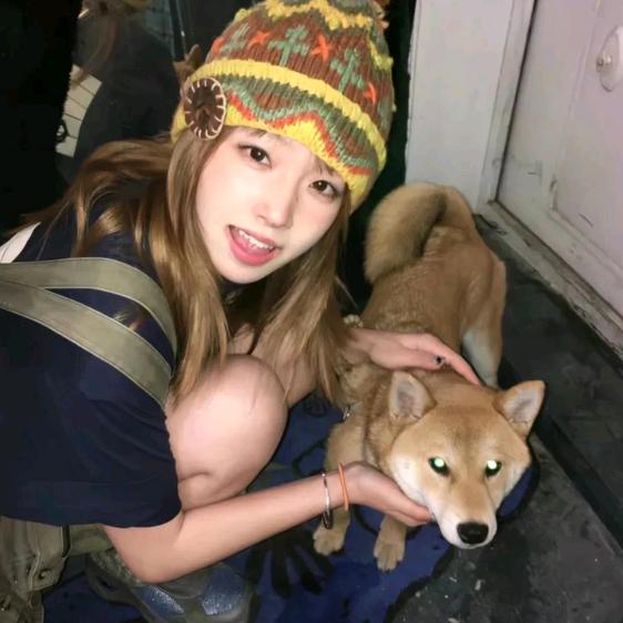 开心果🐾
