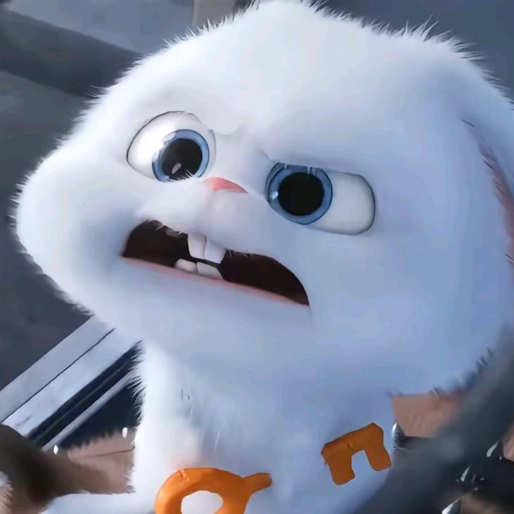 岁月如歌🍒⁰²⁰⁸