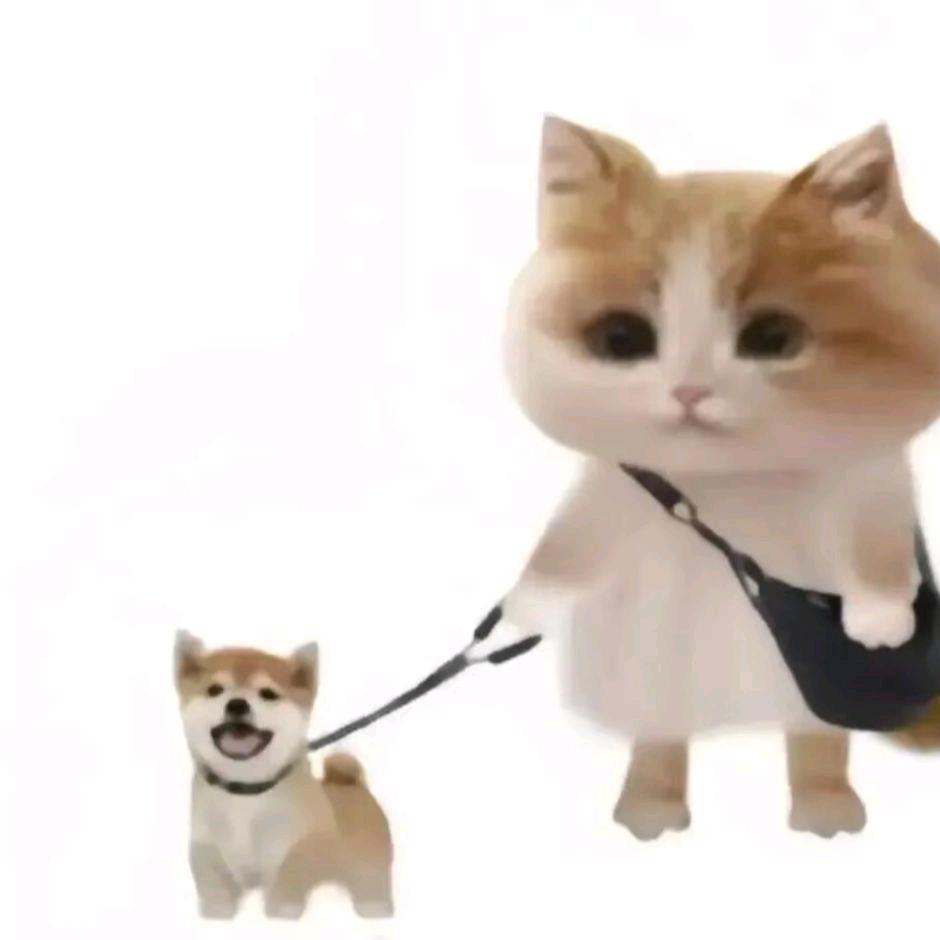 悲伤的中二鼻嘎