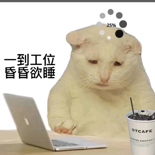 打工喵
