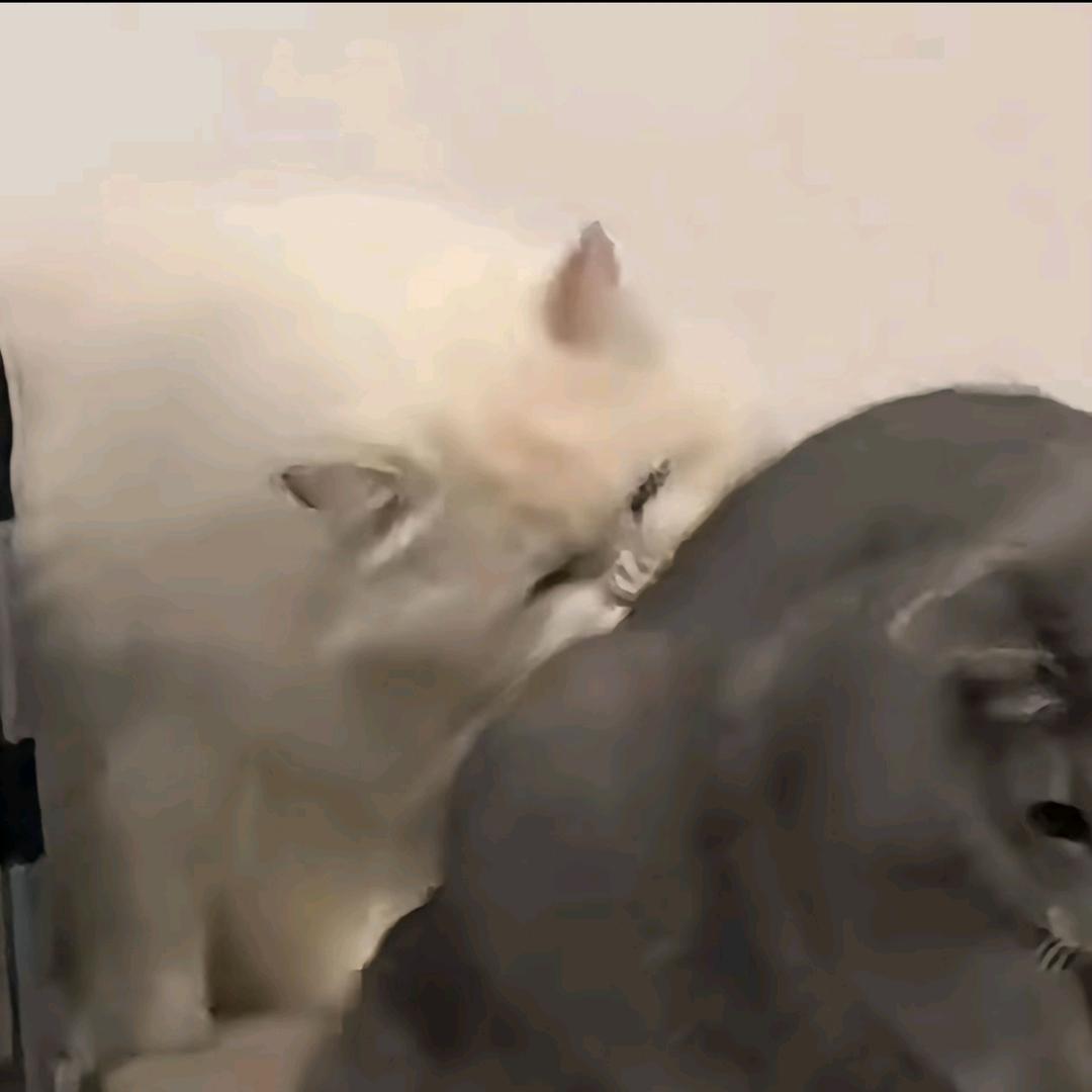 一腔热血——徐沛安