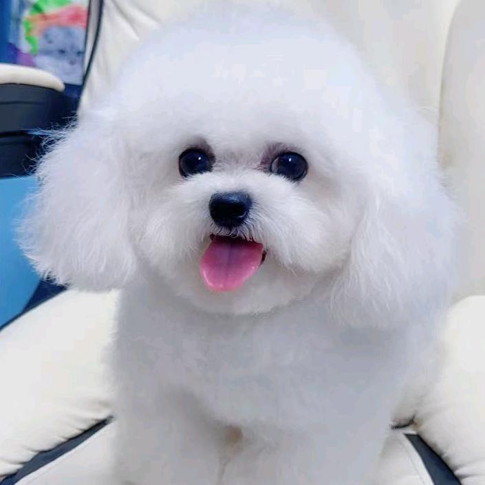 长春宠乐汇宠物臻选阁