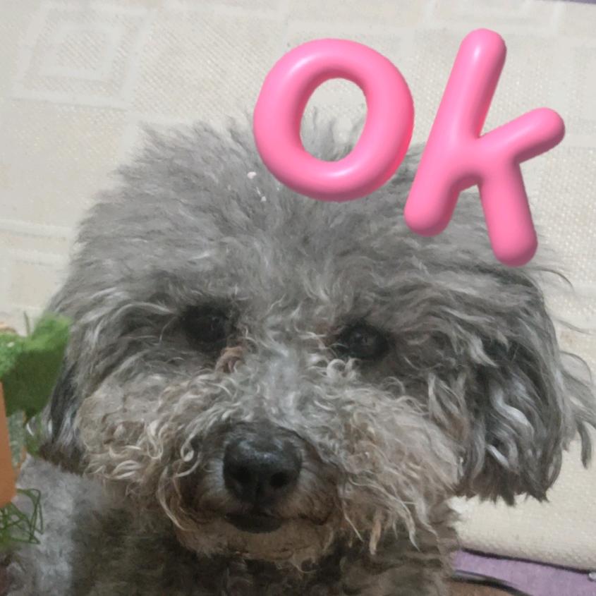 都挺快乐