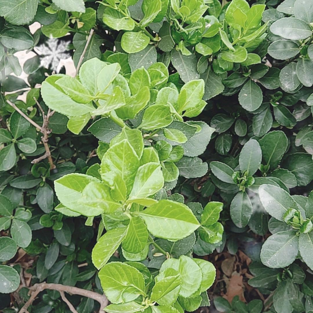 杰杰优选