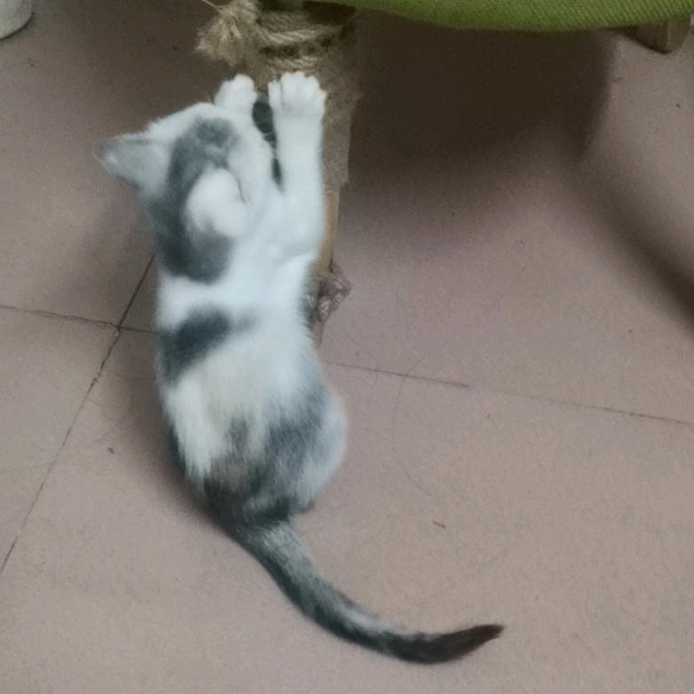 有钱能使鬼推磨