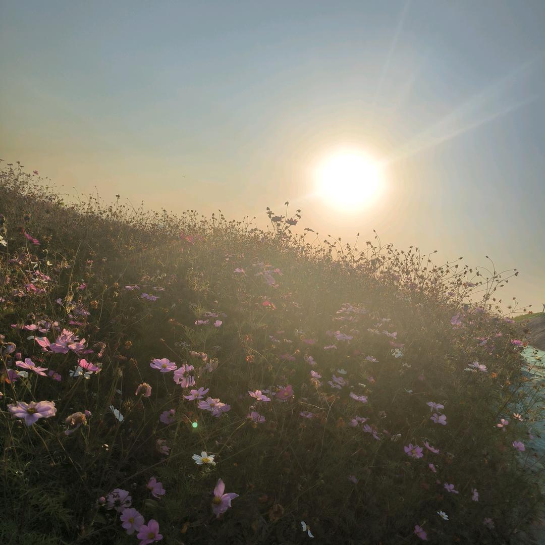 小小     小 SUN