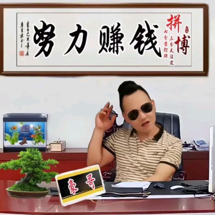 （浅喜深爰）🦚（豪哥）