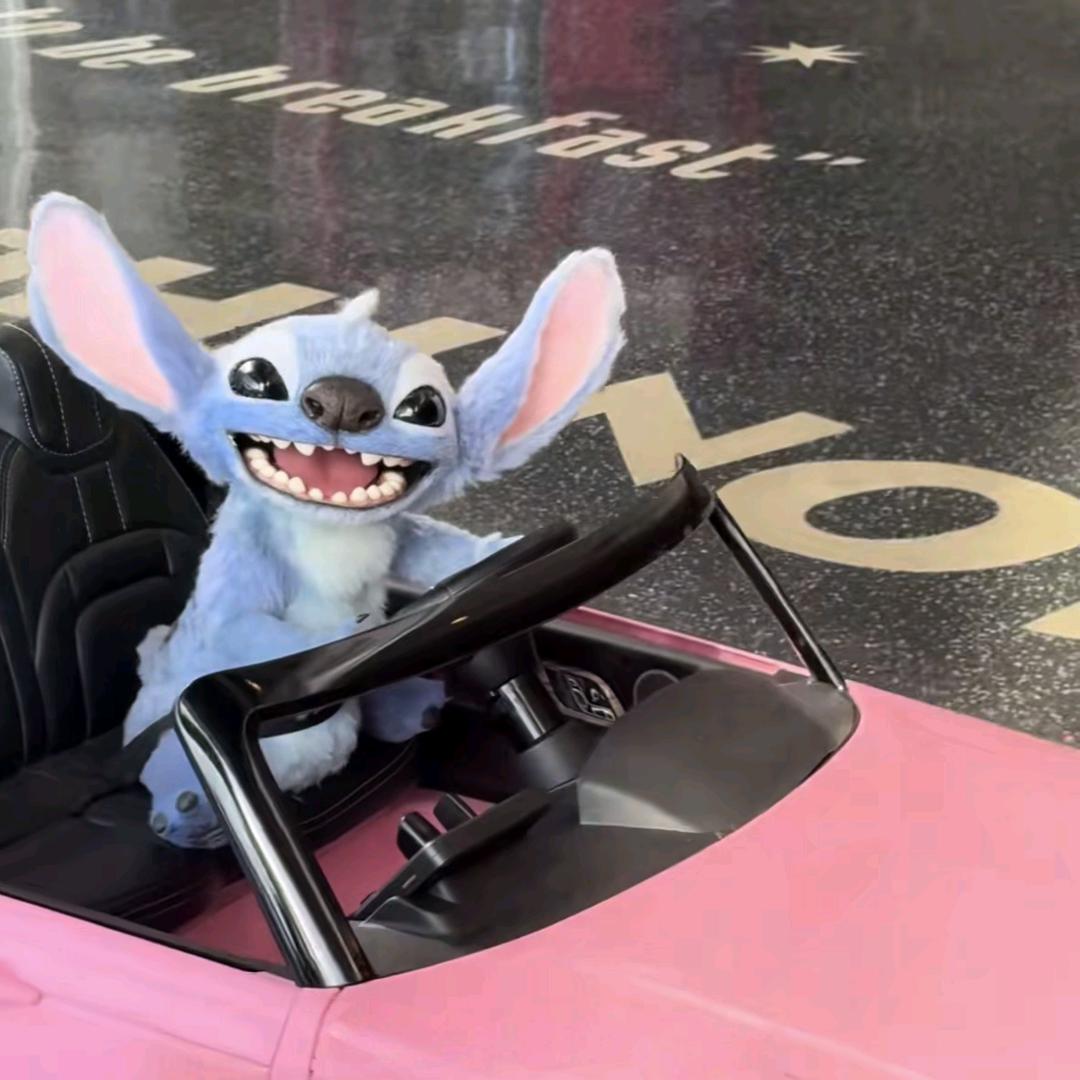 日照驾校全能教练安桑（专业版）