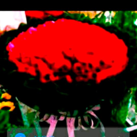 为了孩子😘😘♥