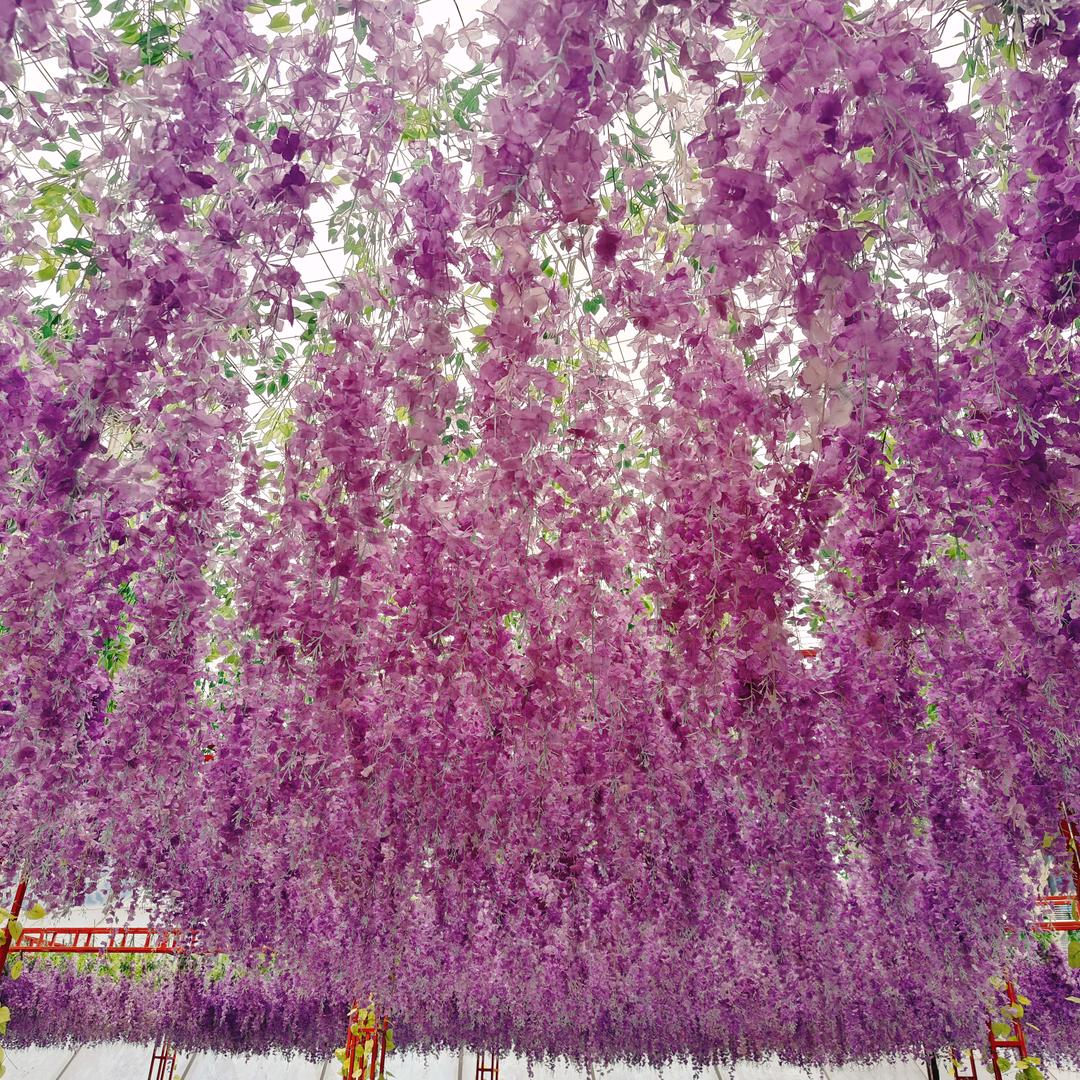 ლ(❛︶❛✿)ლ嗨起来