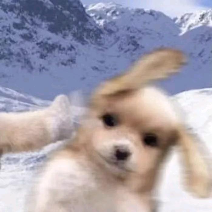 大丈夫能屈能伸