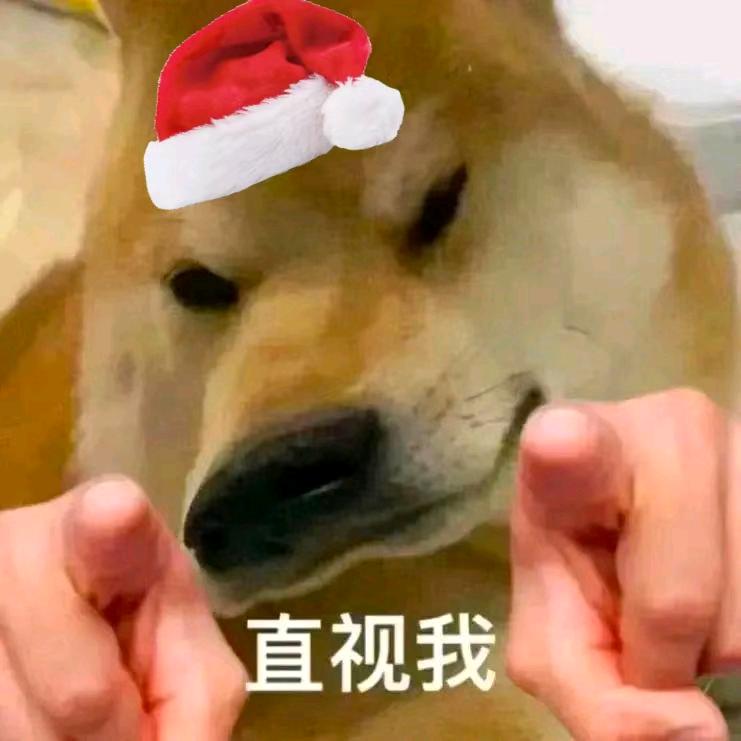 一生之敌石墩子