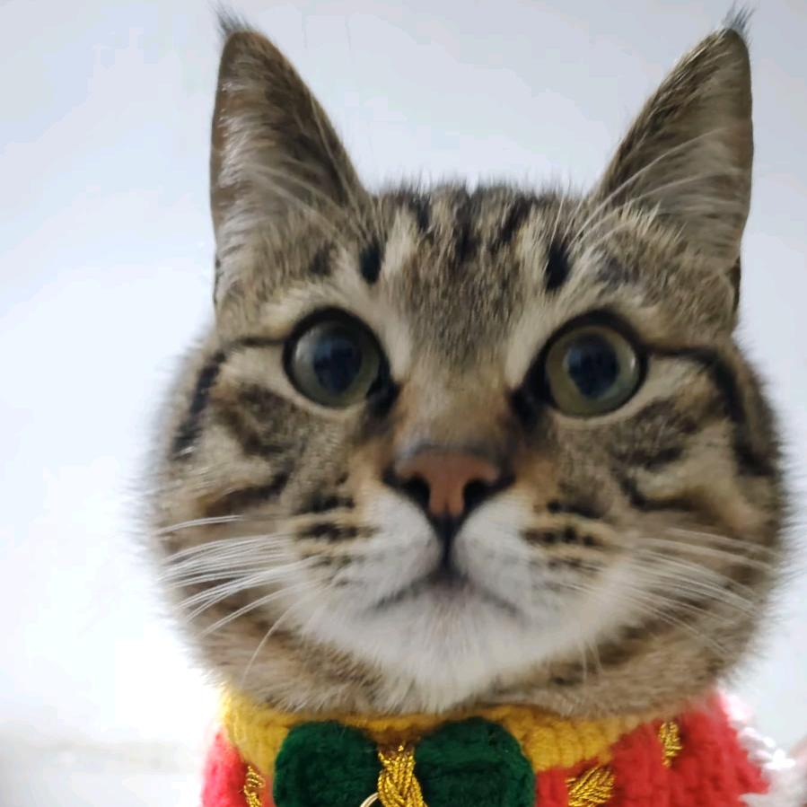 深情雷师傅【电脑监控智能锁音响】