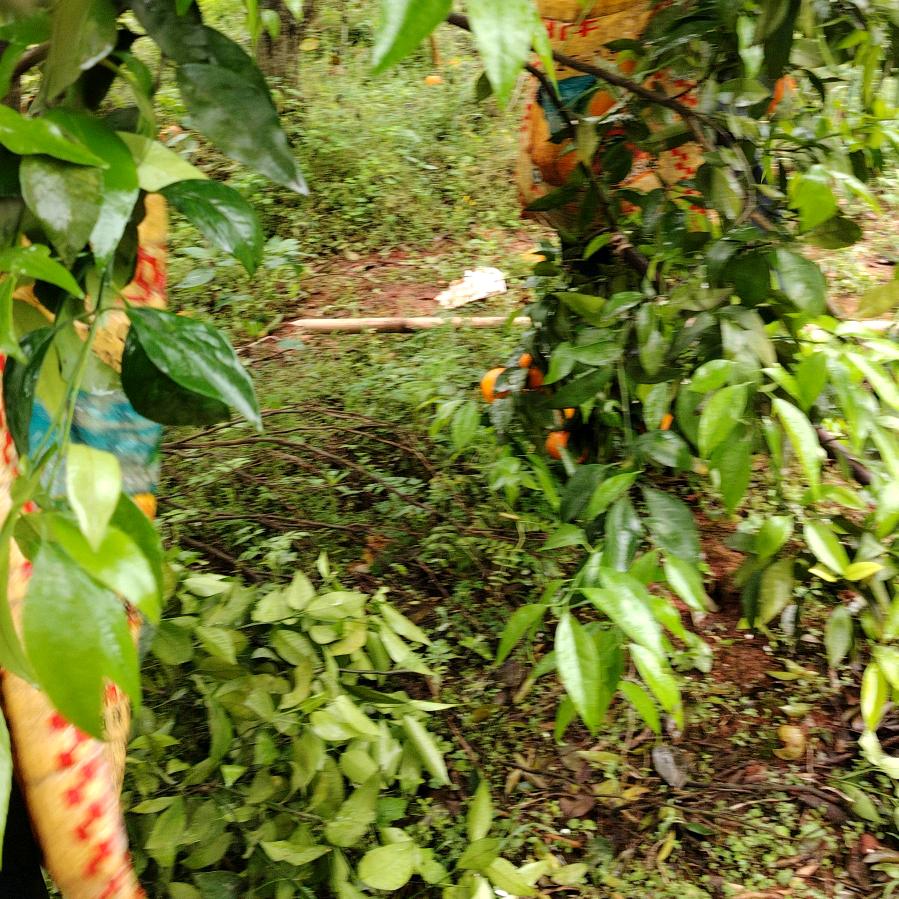 生意兴隆财源滚滚