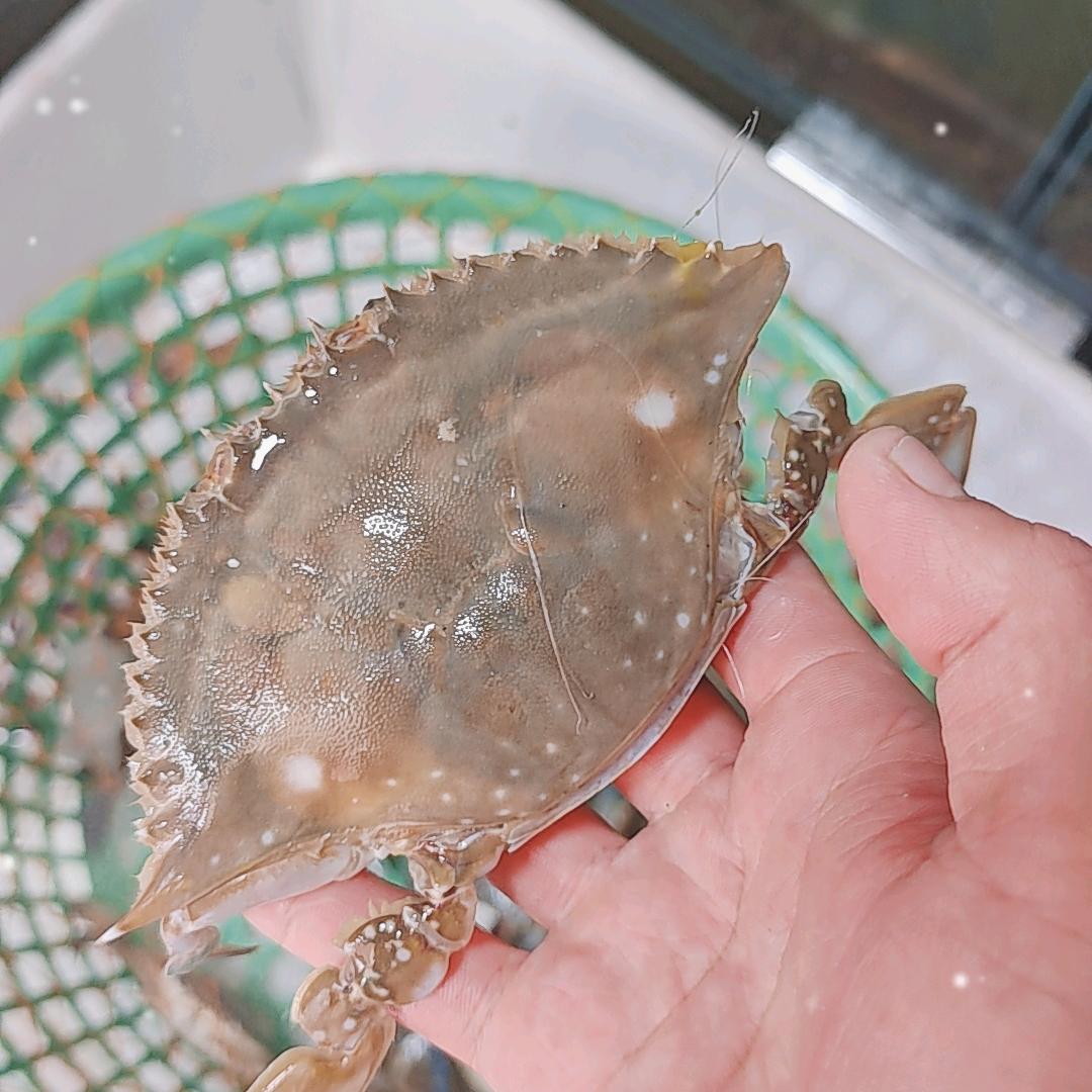 李记水产
