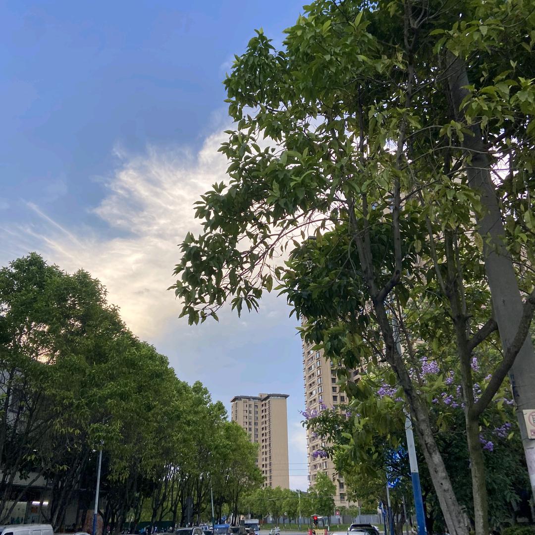 广东省环保技工学校-张老师