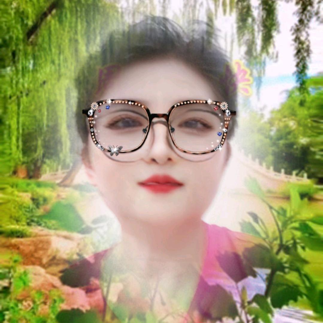 侯姐