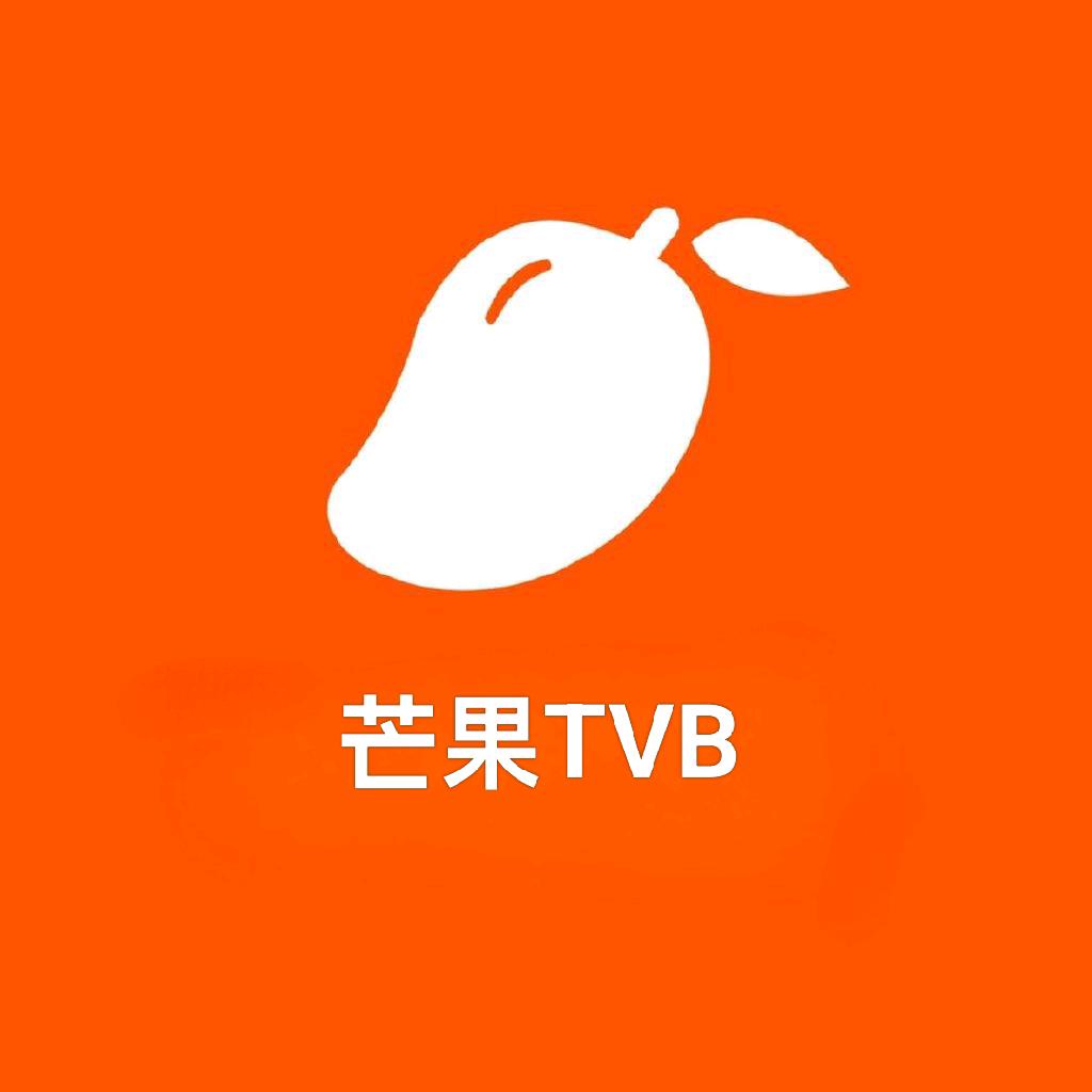 芒果—果子