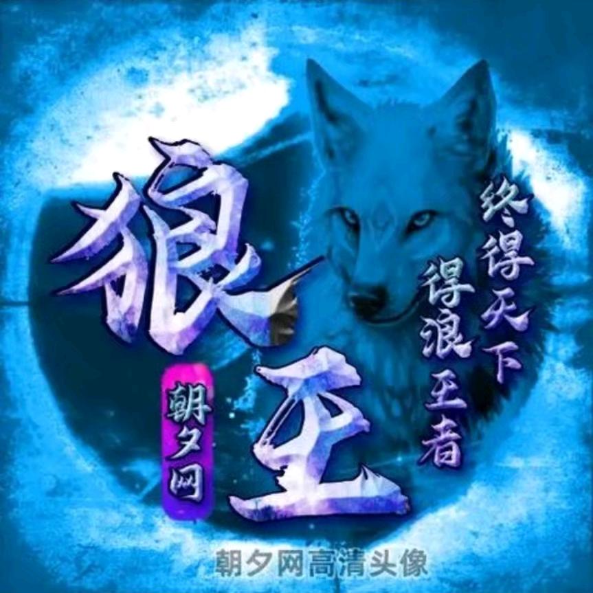 四海为家的孤狼