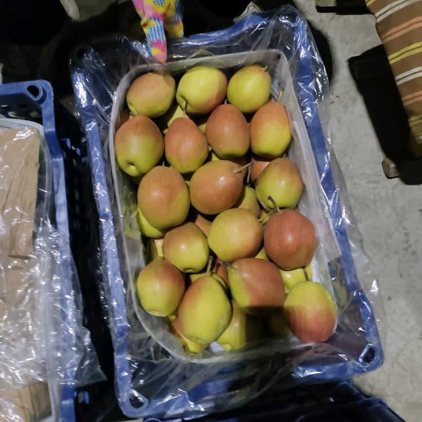 大美芮城水果人