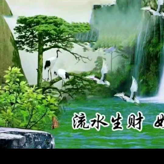 惠宝文 蔬菜购销中心，常年购销大葱，大