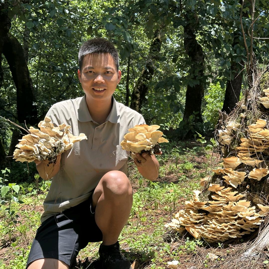 奔放的四激豆