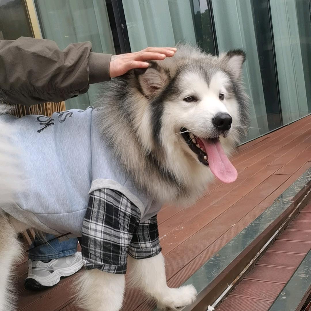 用户281（空窗期）