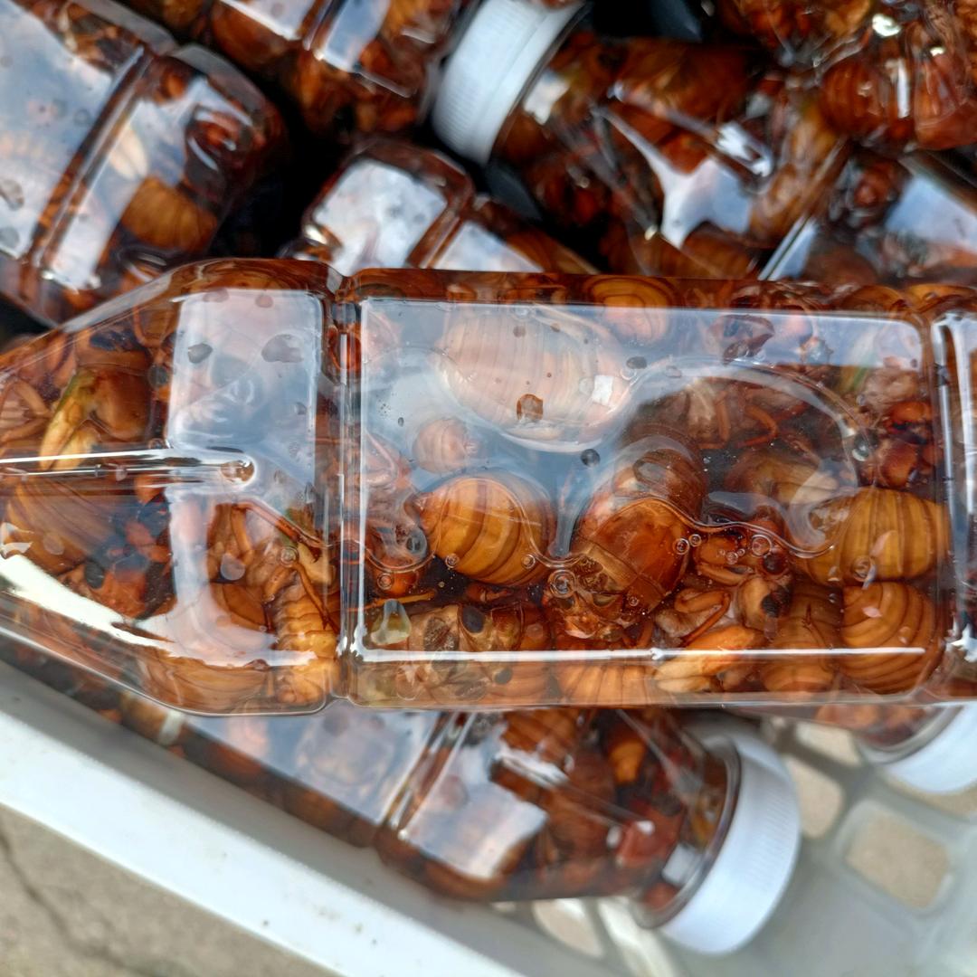 伍含农产品店铺