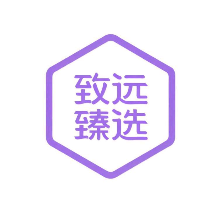 致远臻选俪人馆