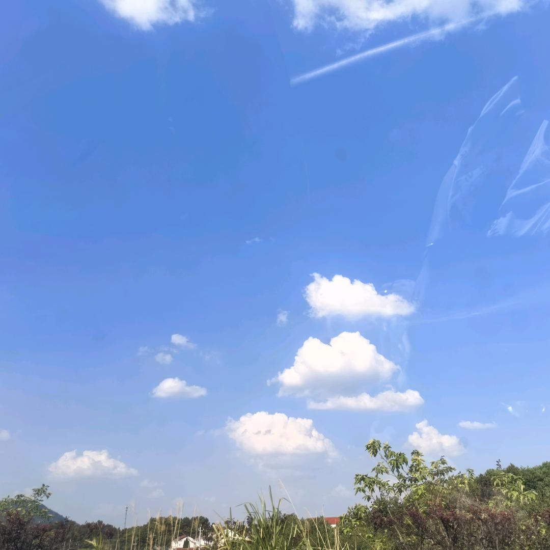 七度空间大钱兔专卖店