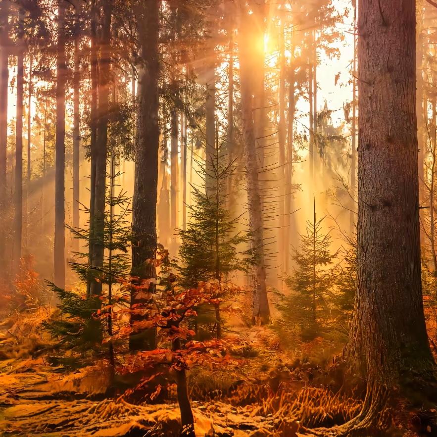 破碎机生产厂家