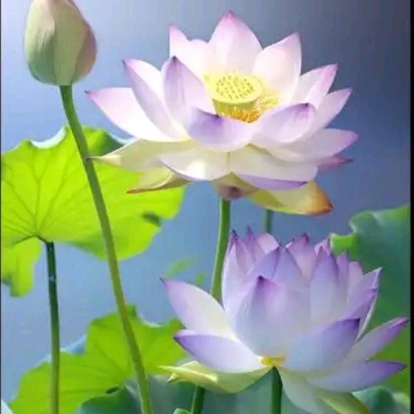 名丽斯发型精品店