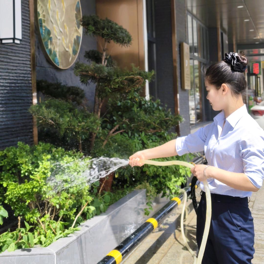 花 花