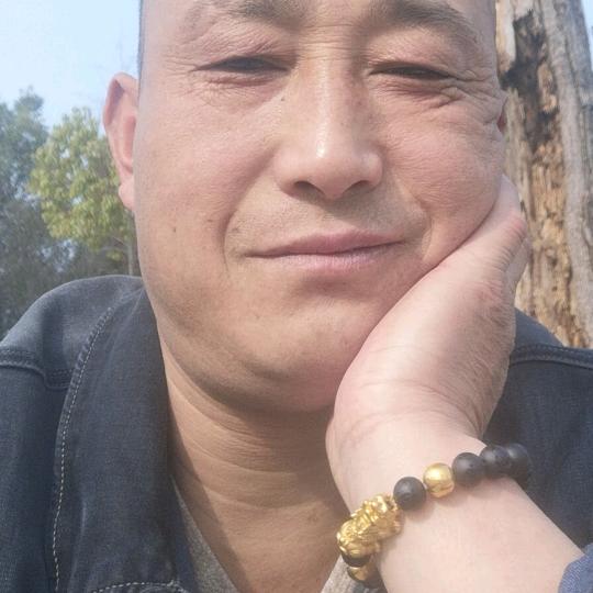 卢飞狼🐺