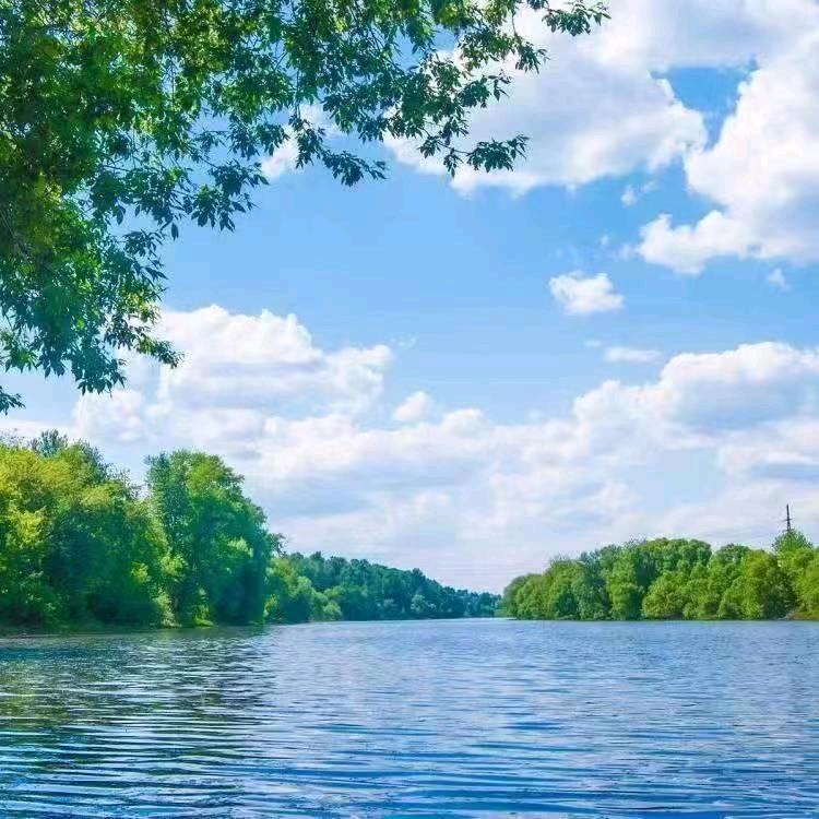 赵一鸣零食（郑州人和路店）