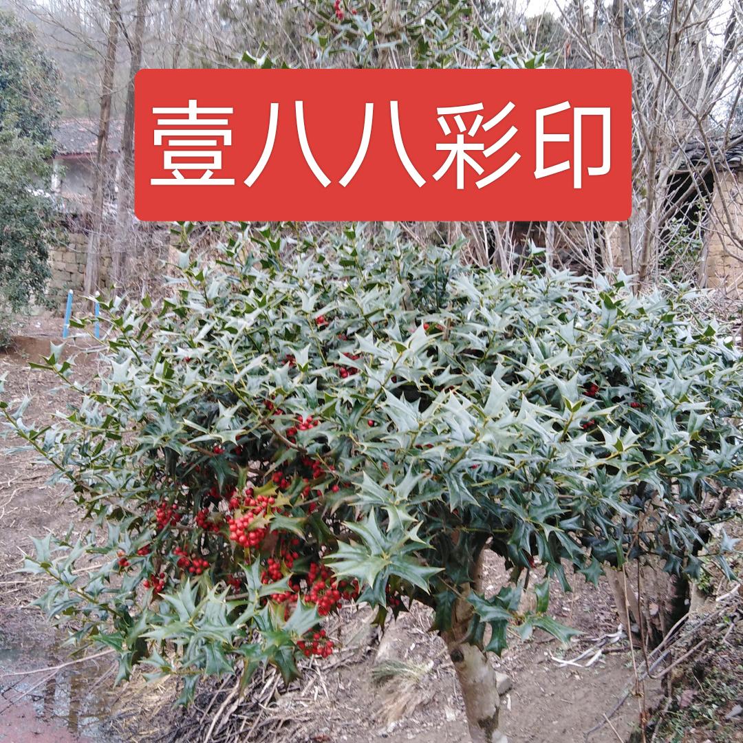 平凡之路
