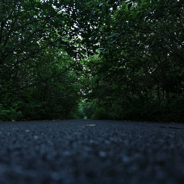 🇨🇳𝒓𝒂𝒏𝒈𝒆𝒓𝒔