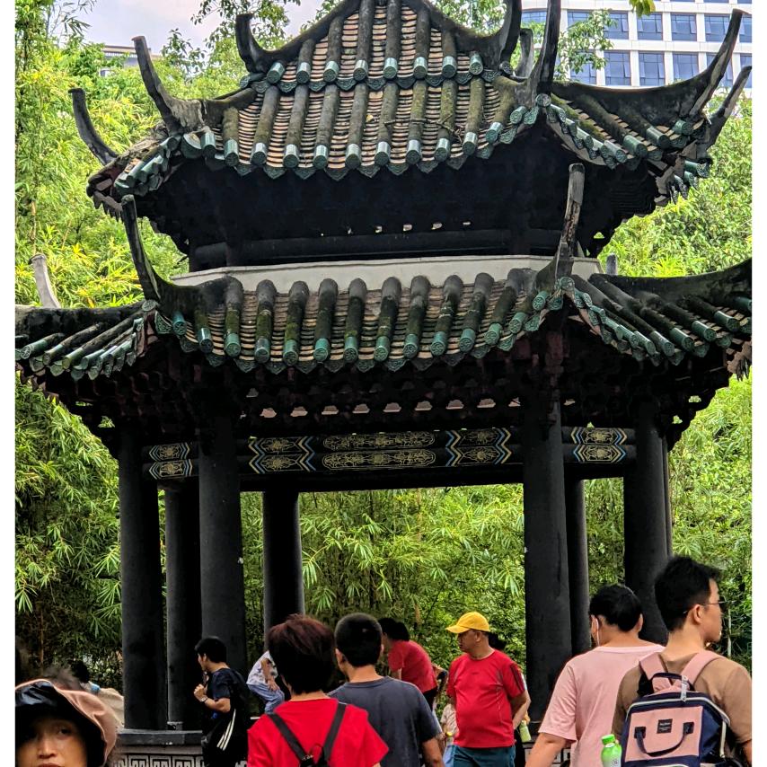 看世界