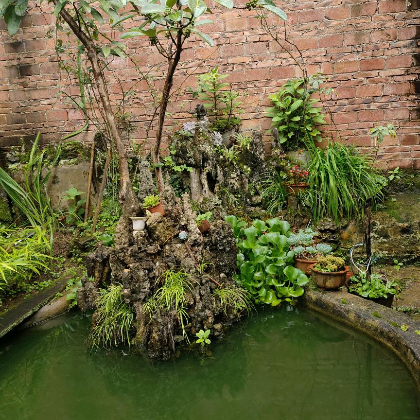 呼叫♛转移🍑💨