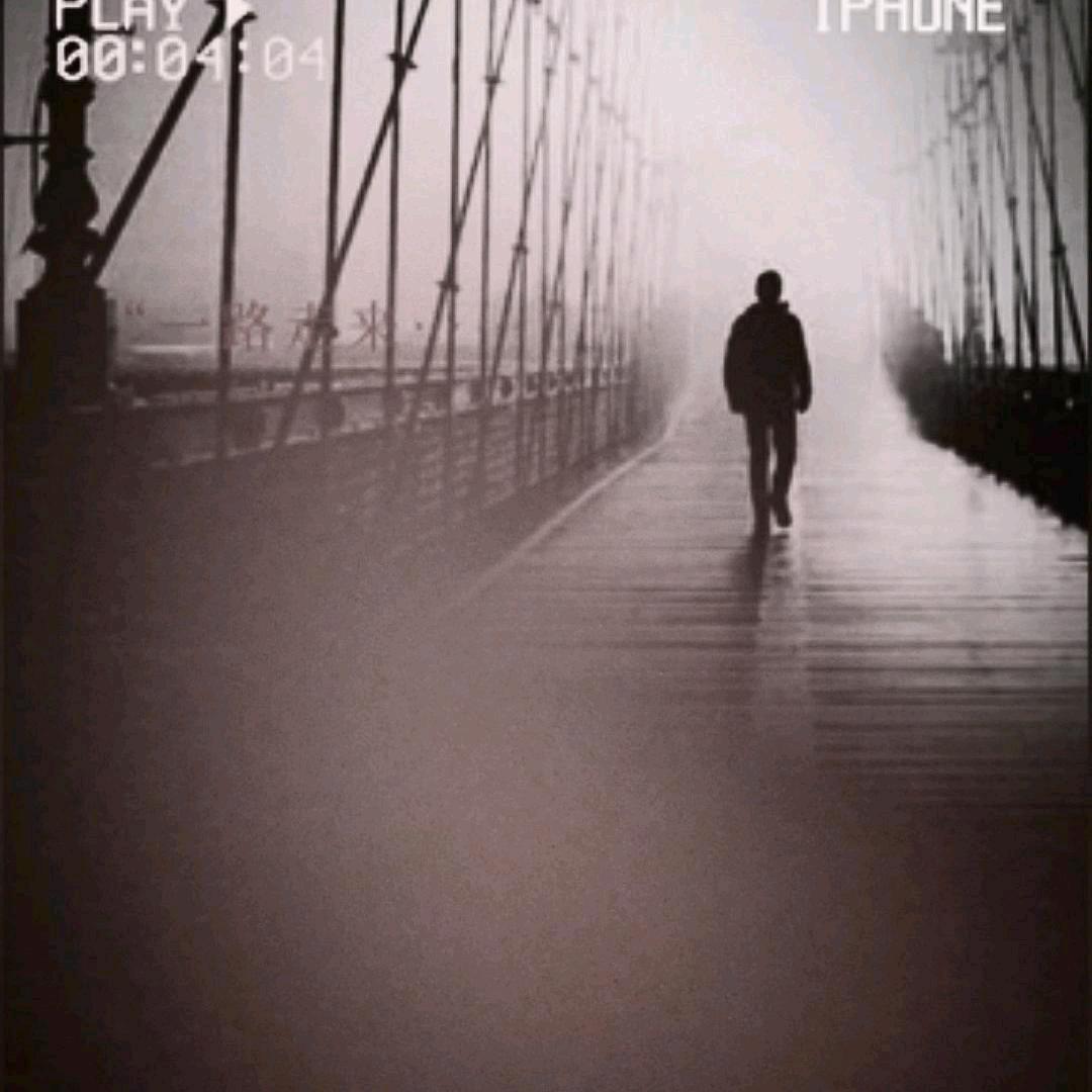 四季育肥羊羊苗代购